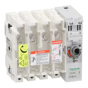 Schneider Electric GS2GB4 рубильник с предохранителем TeSys GS 63 А, 4P, BS (ШНАЙДЕР) Schneider Electric GS2GB4 рубильник с предохранителем TeSys GS 63 А, 4P, BS (ШНАЙДЕР)