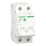 R9F02250 Автоматический выключатель Schneider Electric Resi9, 2 полюса, 50A, тип B, 6kA